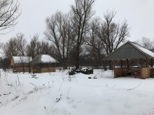 IMG-0368