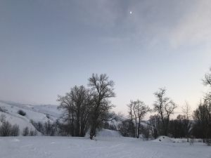 IMG-3787