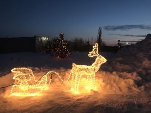 IMG-3803